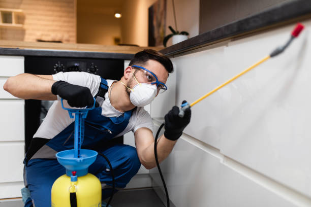 Best Cockroach Control Services  in Rittman, OH