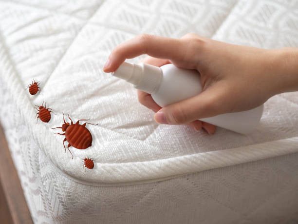 Best Best Pest Control Companies  in Rittman, OH