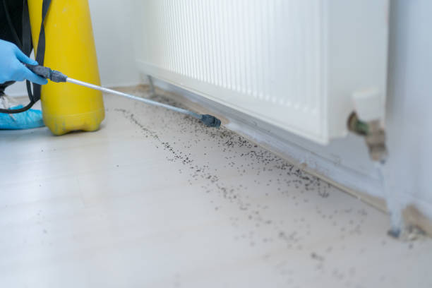 Best Exterminator Services  in Rittman, OH